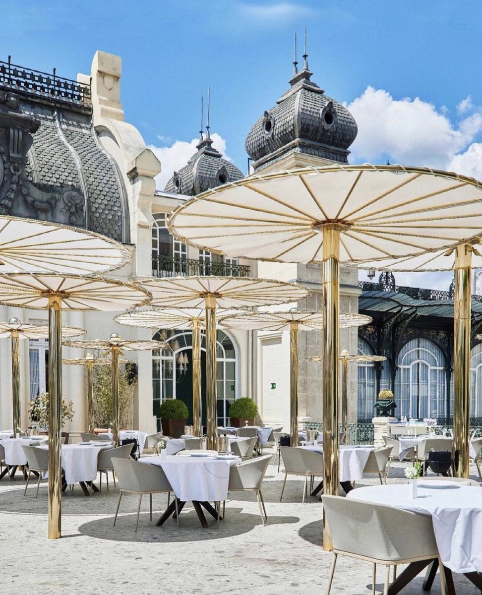 Masha Shapiro tweet media