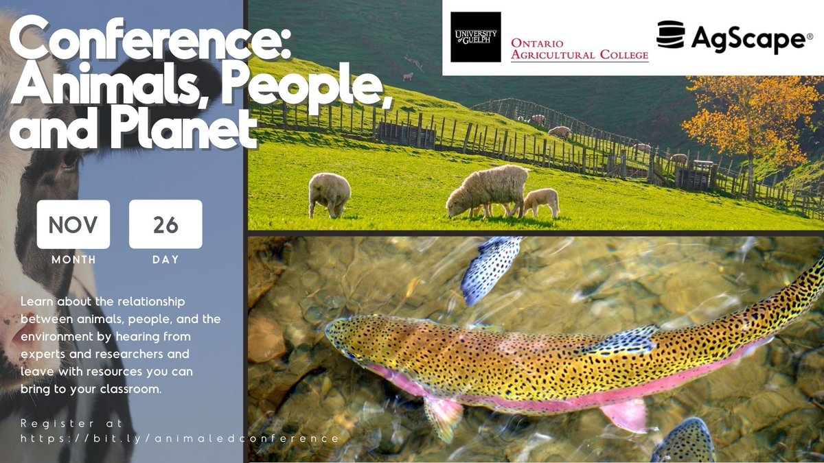 AgScapeON's tweet photo. Ontario Teachers are invited to participate in a free PD conference with @UofGuelphOAC to provide insight and resources connected to animal agriculture. Hear from experts and researchers and leave with resources you can bring to your classroom.

Register: https://t.co/urqJkB51b2 https://t.co/btJFhCUYMH