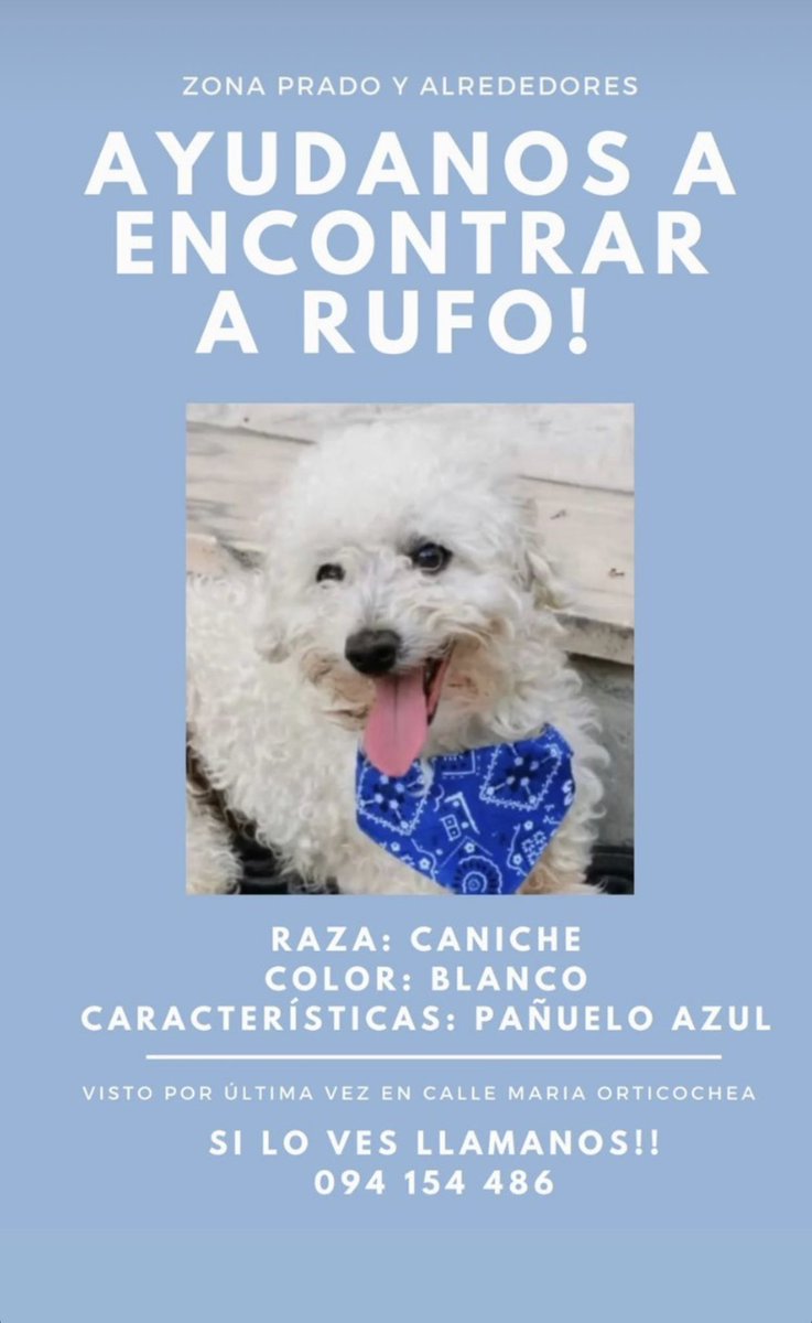 Se perdió y la última vez q lo vieron fue por la zona sayago si lo pueden retener agradezco porq se escabulle apenas te acercas esta muy asustado!!!