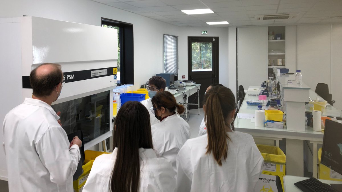SGS_SA's tweet photo. We recently had the pleasure of welcoming students from the Faculty of Pharmacy of Poitiers in our laboratory #bioanalyse in Saint-Benoît! We presented our LCMS and IA/CBA activities to the students and then gave them a tour of the lab. https://t.co/6EXLvj116n