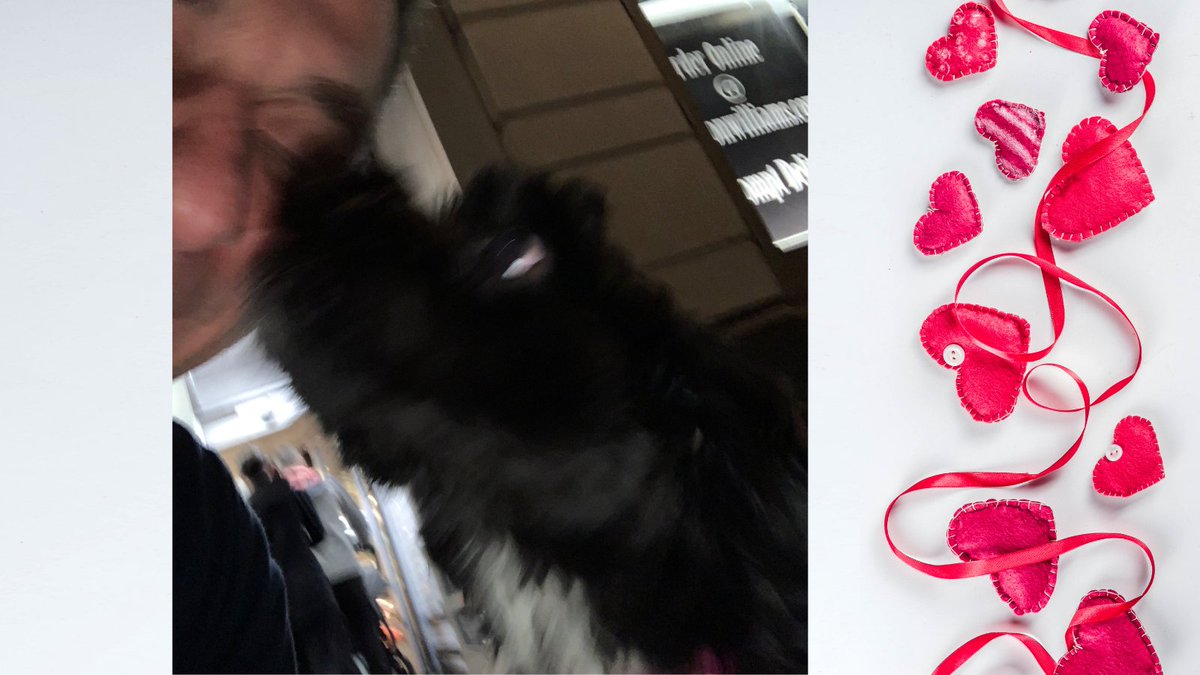 MarkFoleyNYC's tweet photo. When dog parents are excited to have voted for me, so are their pups 😍.
Early voting is in full swing, and you can bring your pup to the poll 😁
Don't forget to tell your friends to vote too!
@PhaedraXTeddy https://t.co/4AIa1Zsk0K
