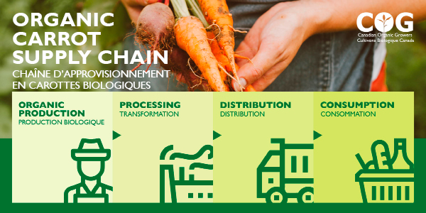 Want to learn more about how carrots get from Canadian farms to your plate? 

Join us for a webinar on the Canadian organic supply chain! 

Register for our free webinar by following the link below: eventbrite.ca/e/organic-carr…
