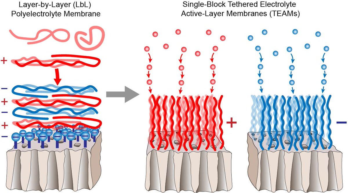 Cassandra Porter tweet media