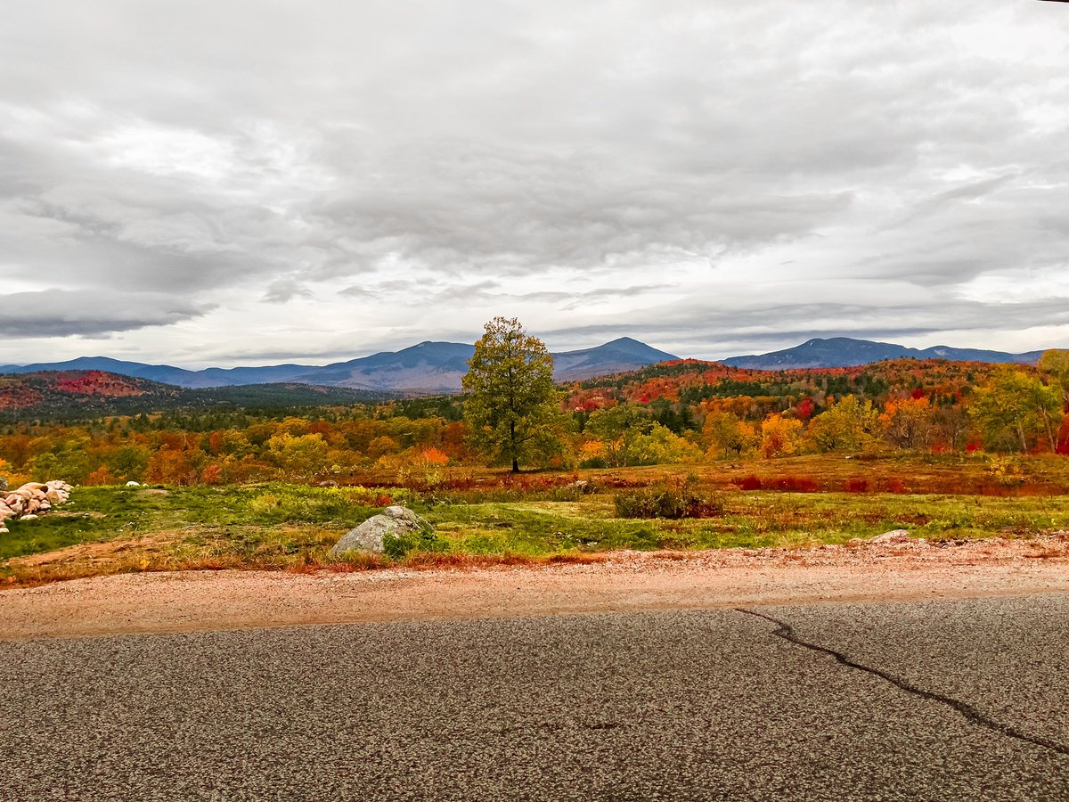 Photography’s Not Dead tweet media