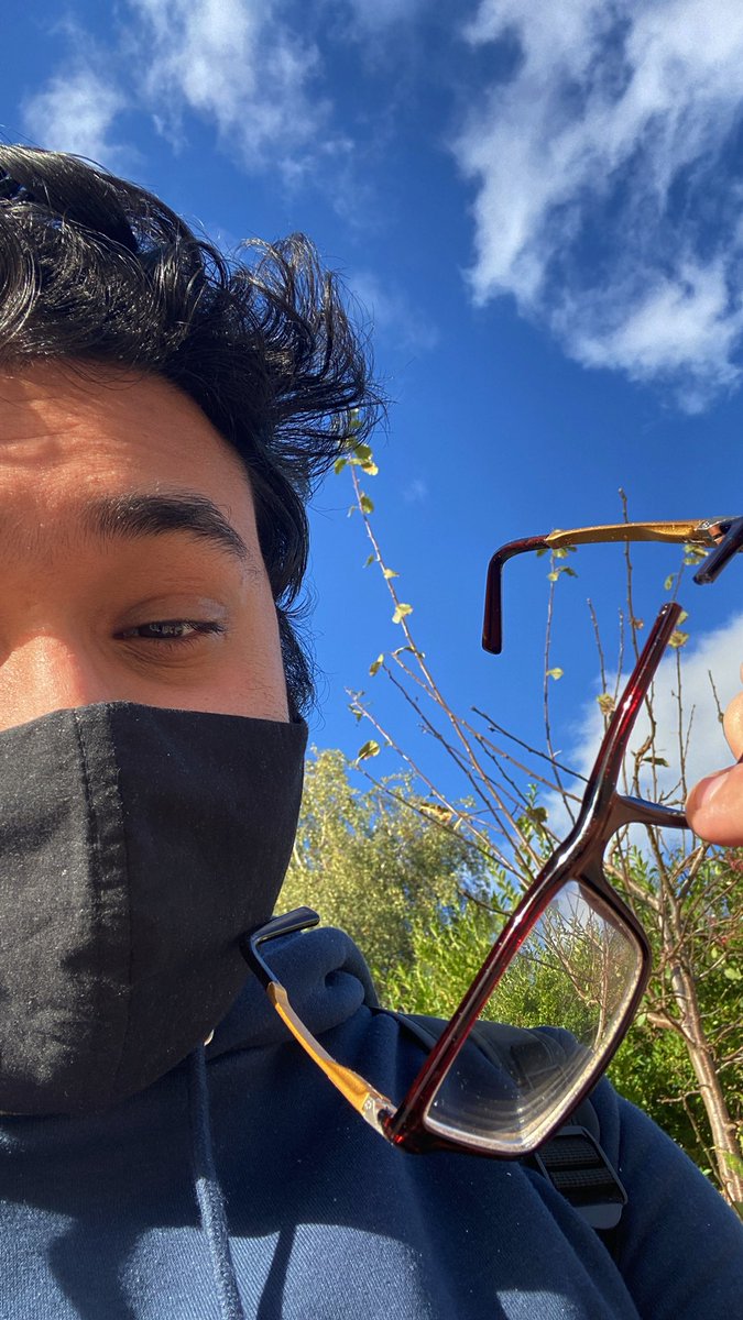 polarized light tweet media