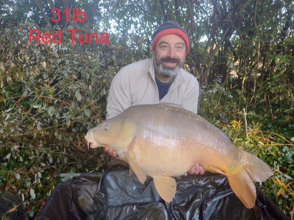 Lakesarock's tweet photo. What a week Richard and Jason had at Lake Sarock. Lots of fish caught using Chunky Fish Baits. 

Loads of mid to upper doubles caught on top of these to 41lb. 

Well done guys! 👌🏻👍🏻 

Go check them out on Facebook - Chunky Fish Baits 

#carpfishing #carpsofinstagram #commoncarp https://t.co/Umei6EgfrC