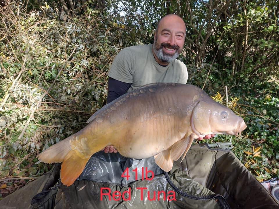 Lakesarock's tweet photo. What a week Richard and Jason had at Lake Sarock. Lots of fish caught using Chunky Fish Baits. 

Loads of mid to upper doubles caught on top of these to 41lb. 

Well done guys! 👌🏻👍🏻 

Go check them out on Facebook - Chunky Fish Baits 

#carpfishing #carpsofinstagram #commoncarp https://t.co/Umei6EgfrC