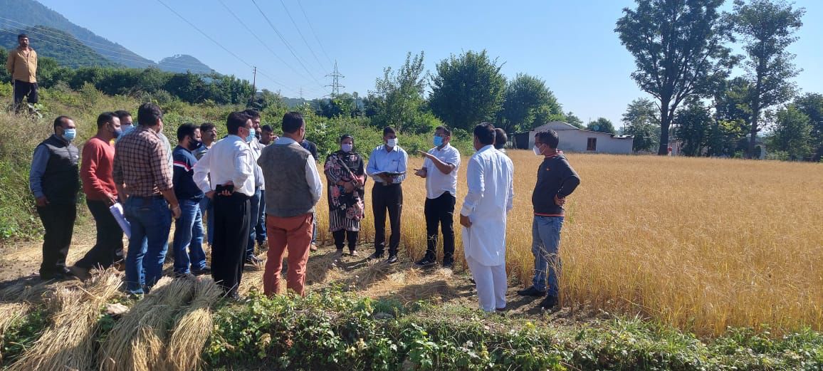 KatraSdm's tweet photo. In order to assess the crop losses due to untimely rains/hailstorm, Visited various villages of Katra today. Interacted with the local PRI members, Farmers and officials from Revenue, Agriculture and Hotticulture department.@OfficeOfLGJandK @nitishwarKumar @DMReasi https://t.co/vZIcy9iQ4r