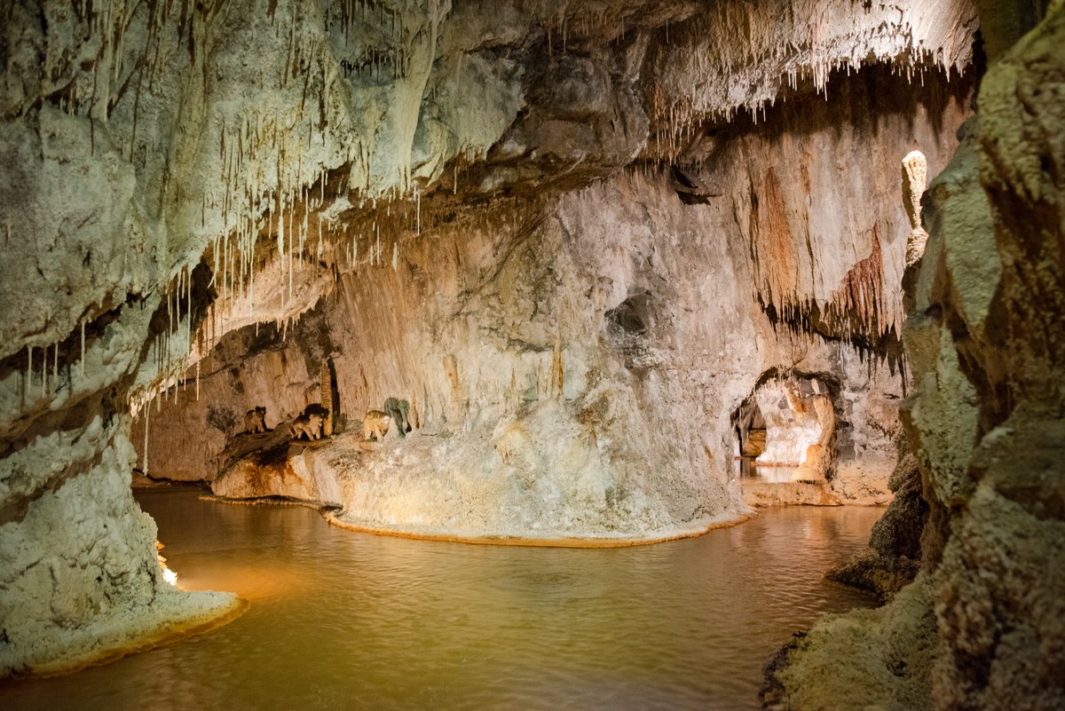 Fontainespetrif's tweet photo. 🍂 #VacancesToussaint
Passez un moment hors du temps dans un univers d'eau et de pierre ! 💦
👣 Visite en autonomie, avec un parcours ludique (45min) : https://t.co/03fohiCJkN
Bonus : des sources chaudes et en intérieur 😉
📷 DAG
#Vacancesdetoussaint #myauvergne #otsancy https://t.co/zfvN6RSPCO