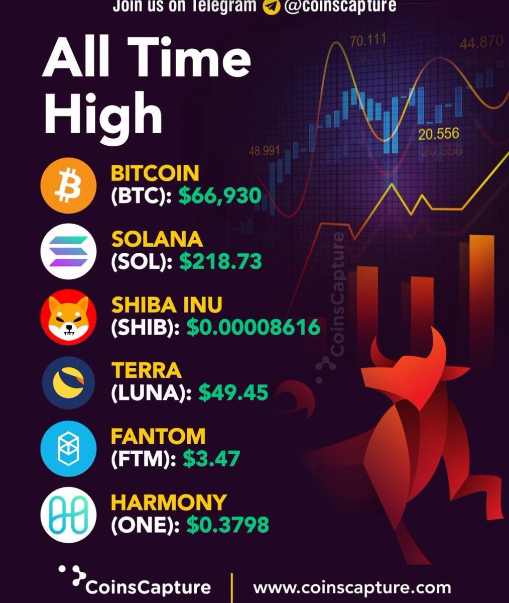 Lady Ape Squad (@ladyapesquad) on Twitter photo 