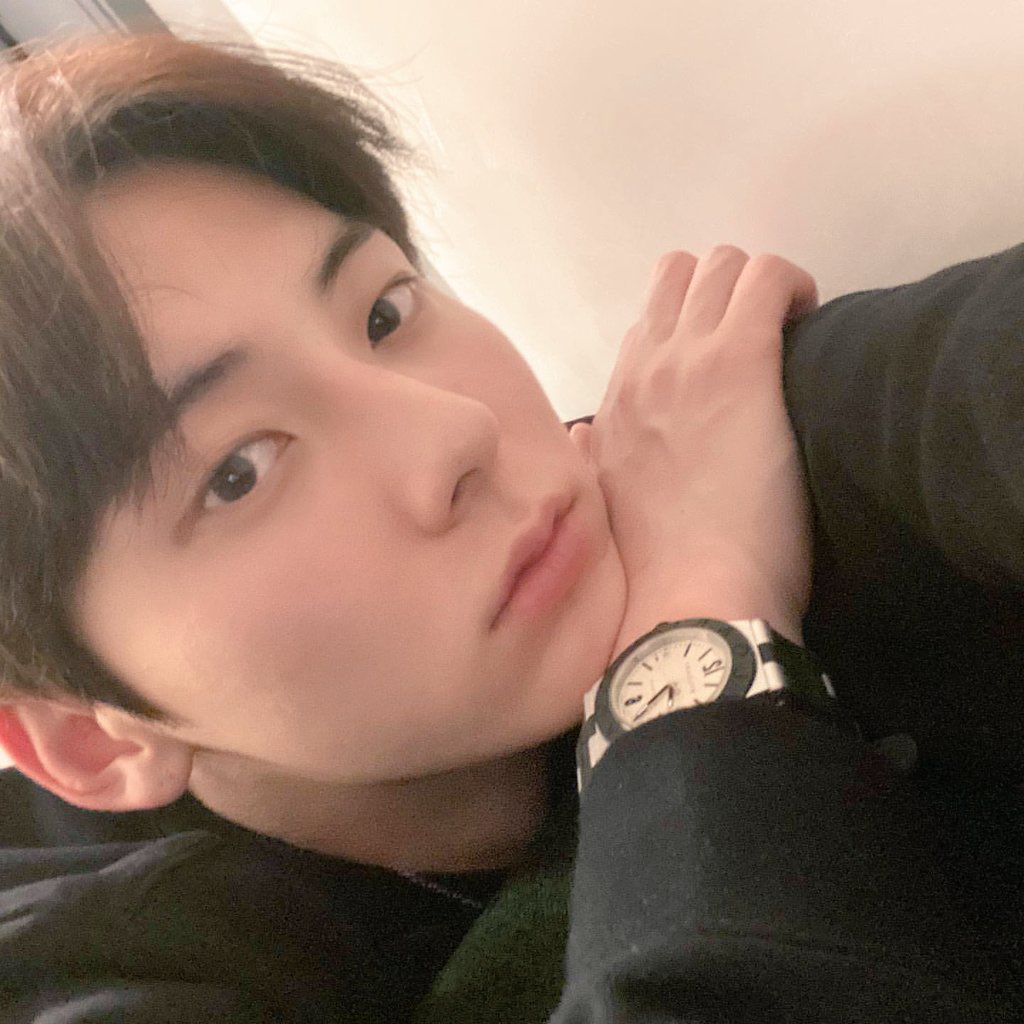 optimushwang update! 🌼