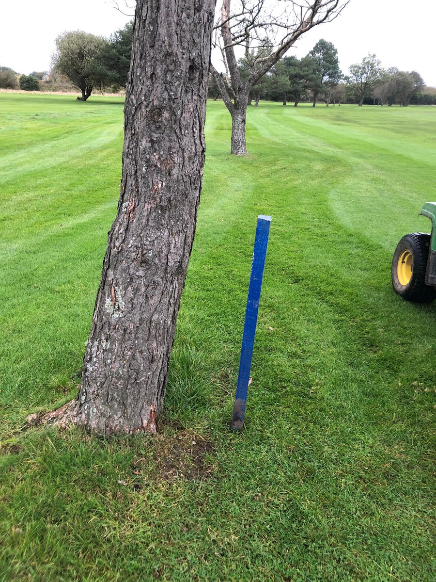Danny J Whiston (@dannyjwhiston) on Twitter photo Blue stake route also being put out, so if/when buggies are allowed due to the whether.
Please follow this route as it should get you round with minimal damage π΅ππ» <a href="/Penwortham_GC/">Penwortham Golf Club</a> <a href="/PenworthamGCGr1/">@PenworthamGCGreens</a> Blue stake route also being put out, so if/when buggies are allowed due to the whether.
Please follow this route as it should get you round with minimal damage π΅ππ» <a href="/Penwortham_GC/">Penwortham Golf Club</a> <a href="/PenworthamGCGr1/">@PenworthamGCGreens</a>