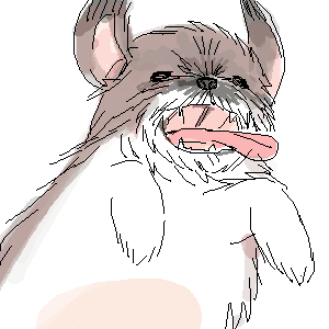 dog 
