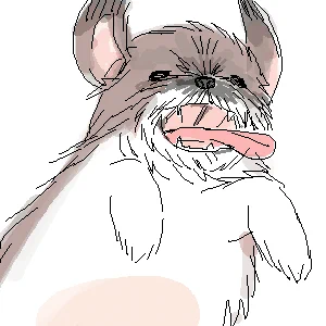 dog 