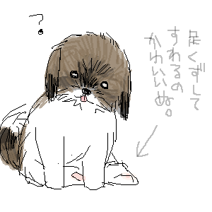 dog 