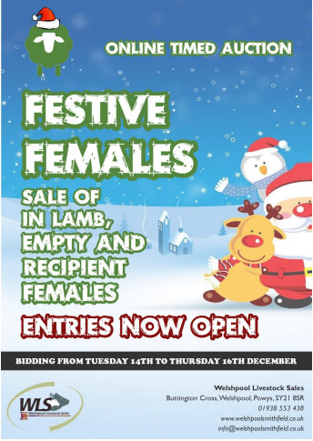 🎄🎅Festive Females🎅🎄
⏰Online Timed Auction
🐑In Lamb, Empty and Recipient Females 
‼️Open to Pedigree, Pure and Crossbred stock, both MV and Non MV
🗓Entries close Wednesday 8th December 
🗓Bidding open from Tuesday 14th to Thursday 16th December 
📝Entry forms available