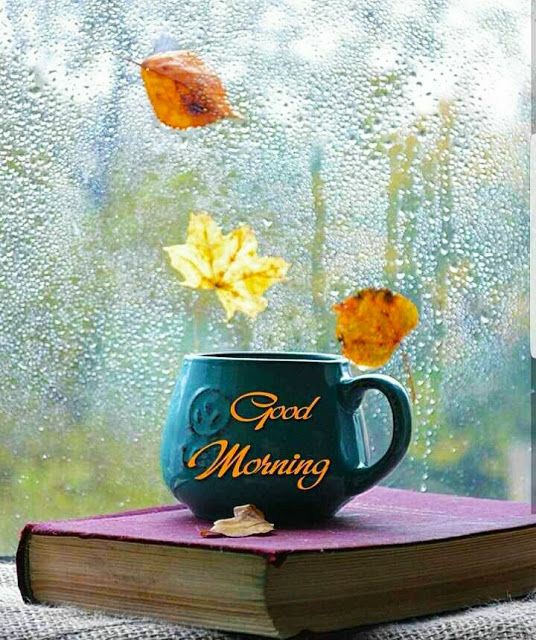 H Hinxman 🌞❤🌹 tweet media