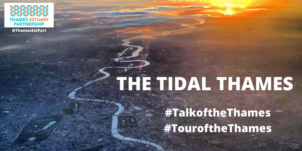 Take our virtual boat tour of the tidal Thames as part of #LondonRiversWeek2021 here: thames21.org.uk/event/london-r…
  
#LRW2021 #TouroftheThames @Thames21 @ThamesPathNT