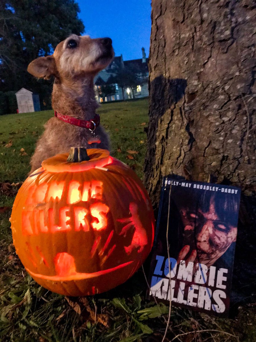 holly_17_author's tweet photo. Trick or Treat 
#author #writer #writing #writingismylife #writingismypassion #ilovebooks #ilovewriting #ilovereading #bookworm #booklover #books #zombiekillers #zombies #zombie #zombiebooks #ilovezombies #apocalypse #writingcommunity #austinmacauleypublishers #ZombieKillersHMBD https://t.co/NbCTO1QssC
