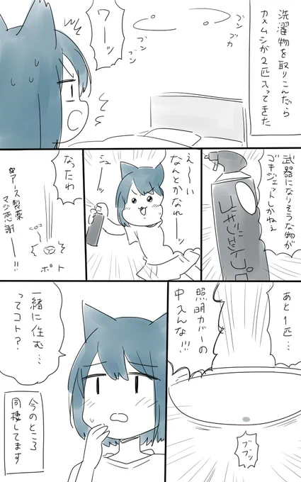 10/28「カメムシ討伐」 #猫太さん日記 