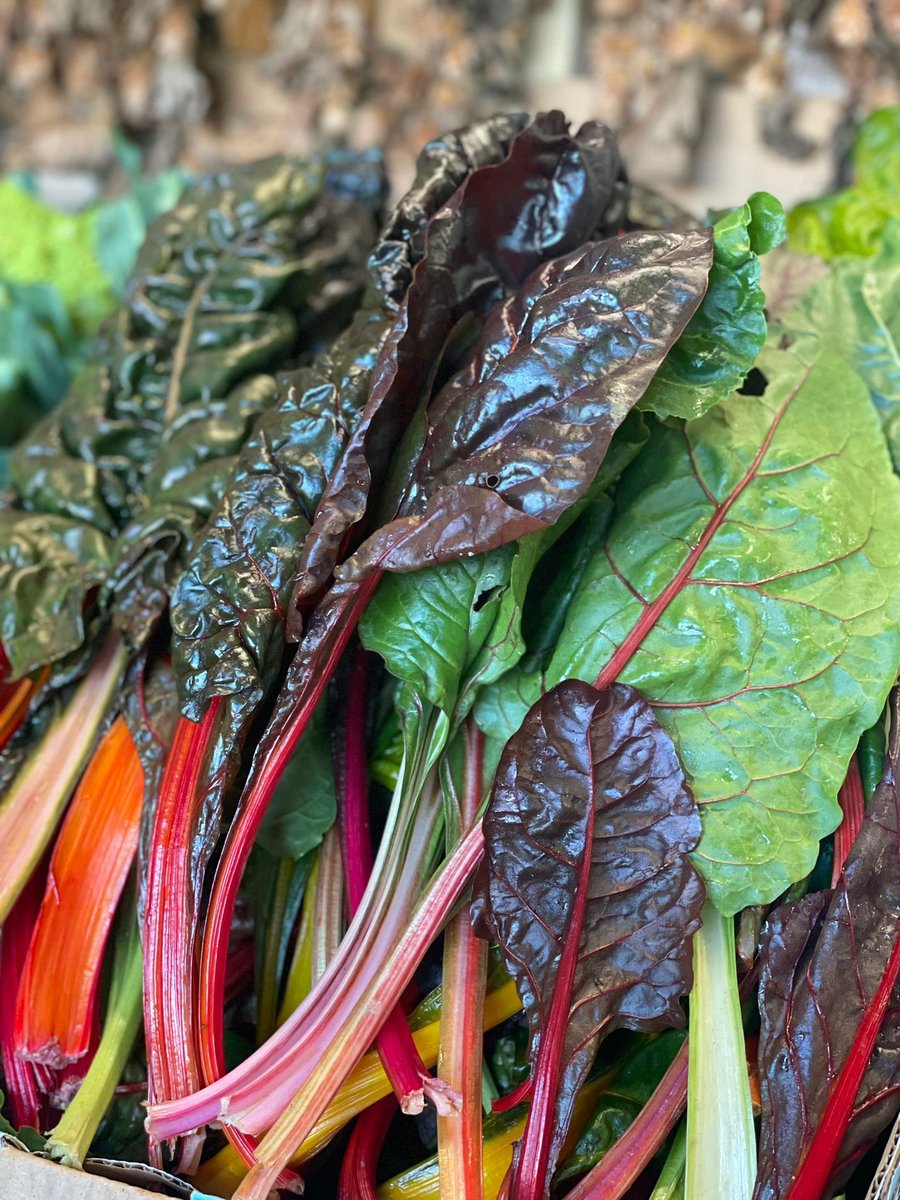 🍂 🍂🍂🍂🍂🍂🍂🍂🍂🍂🍂🍂🍂🍂🍂  Gorgeous and delicious Autumn goodies, all locally grown and fresh from the farm 🚜 pop in and see us or contact us for home delivery 😃 #autumn #fresh #eastsussex #kent