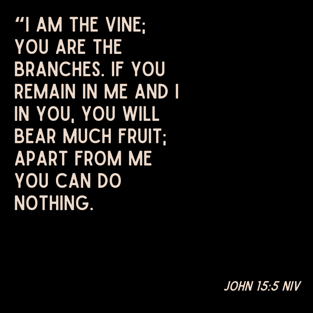ALCGetYoLIFE's tweet photo. John 15:5 NIV       #StayConnected https://t.co/7leHe1EhHB