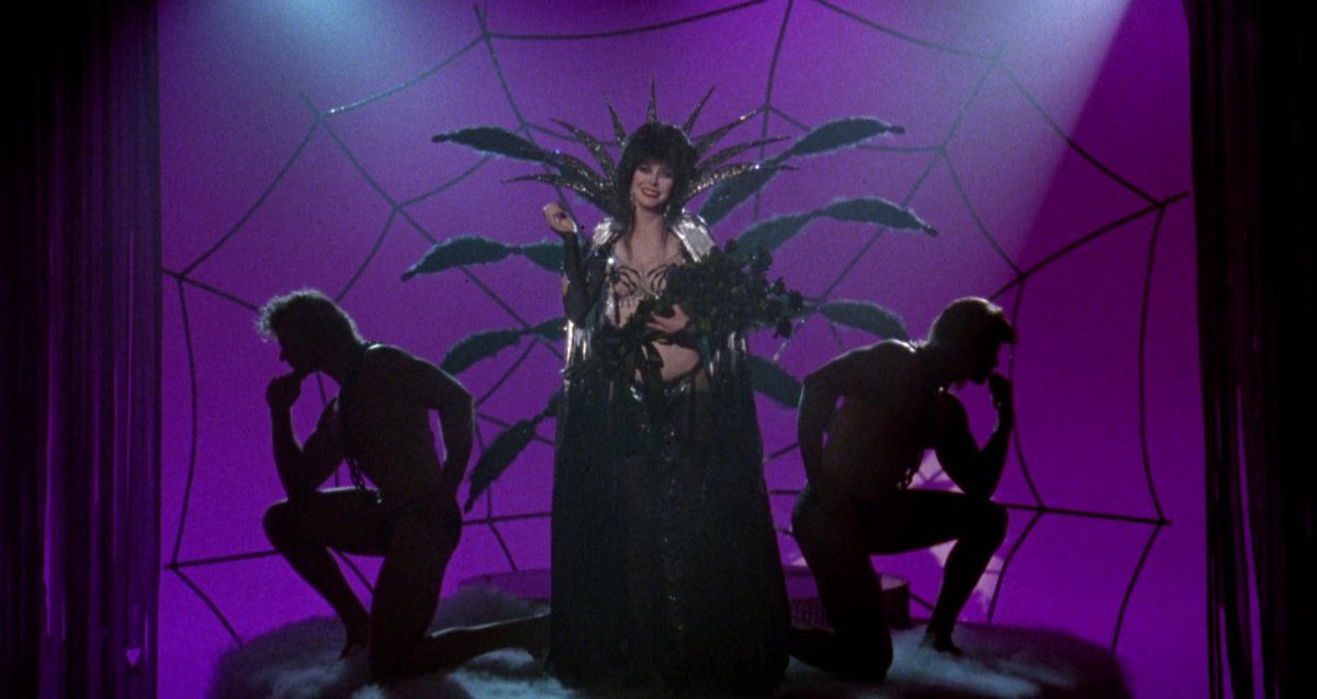deathndhorror's tweet photo. Elvira: Mistress of the Dark (1988) https://t.co/YedTB75R0P