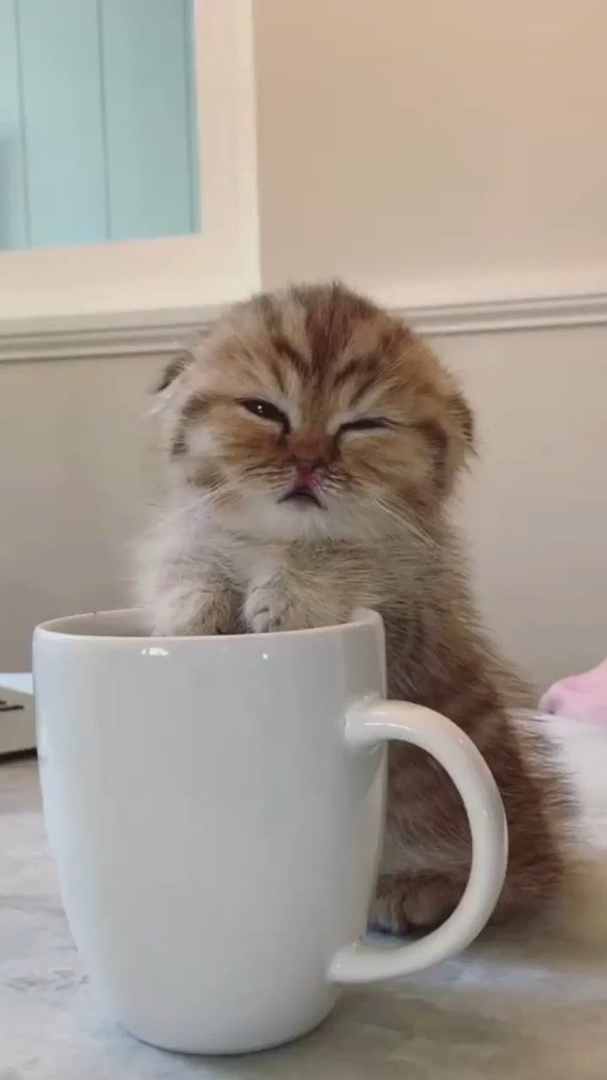 2Saddington's tweet photo. Awake but at what cost https://t.co/vtr6fTQgQb