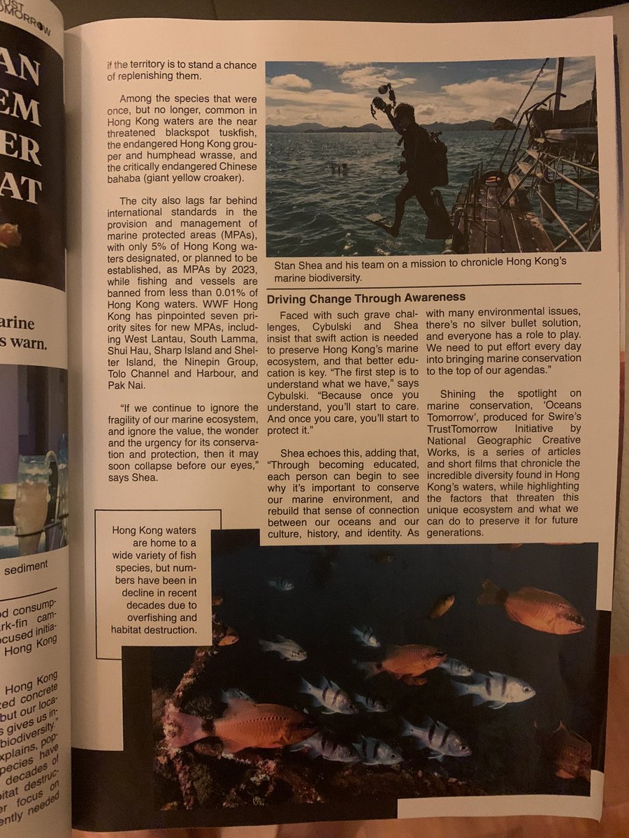 joncybulski's tweet photo. Sneak peak at the November edition of @NatGeoMag 😬🤯. I can’t believe I’m in it! 

Pick one up to read about mine and #stansheas work researching #hongkongs threatened marine environment. 

Proud to represent @stable_isodope @SWIMSHKU and @hku_science. Thank you #swiretrust https://t.co/CoYI74MWv1