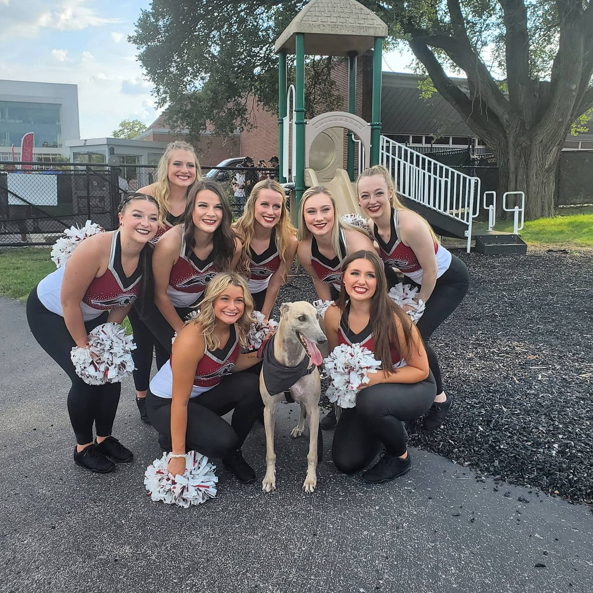I love them and you love them!! Help me help @uindydance win the College Classic Spirit Contest! 
Go Hounds! VOTE: thecollegeclassic.com/spiritcontest