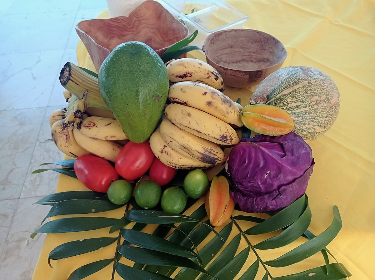 faodominicana's tweet photo. Los munícipes de Barahona y Polo recibieron charlas sobre alimentación saludable y la importancia de consumir #FrutasyVerduras 🍑🥥🥬🍍para una buena nutrición, coordinada por @faodominicana,  junto a @MinpreRD,  a través de #SETESSAN, @SaludPublicaRD y @WFP_es 

#IYFV2021 https://t.co/DyEc1rACa2