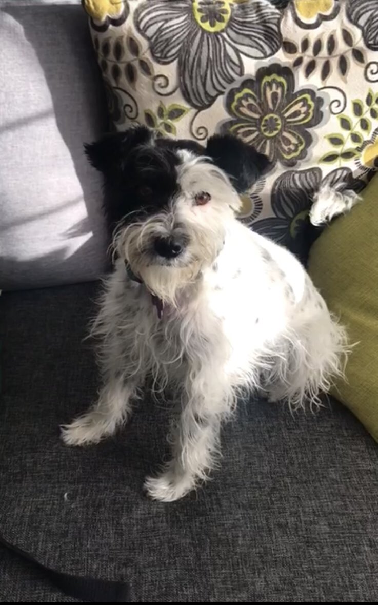 marthapauescobedo@gmail.com tweet media