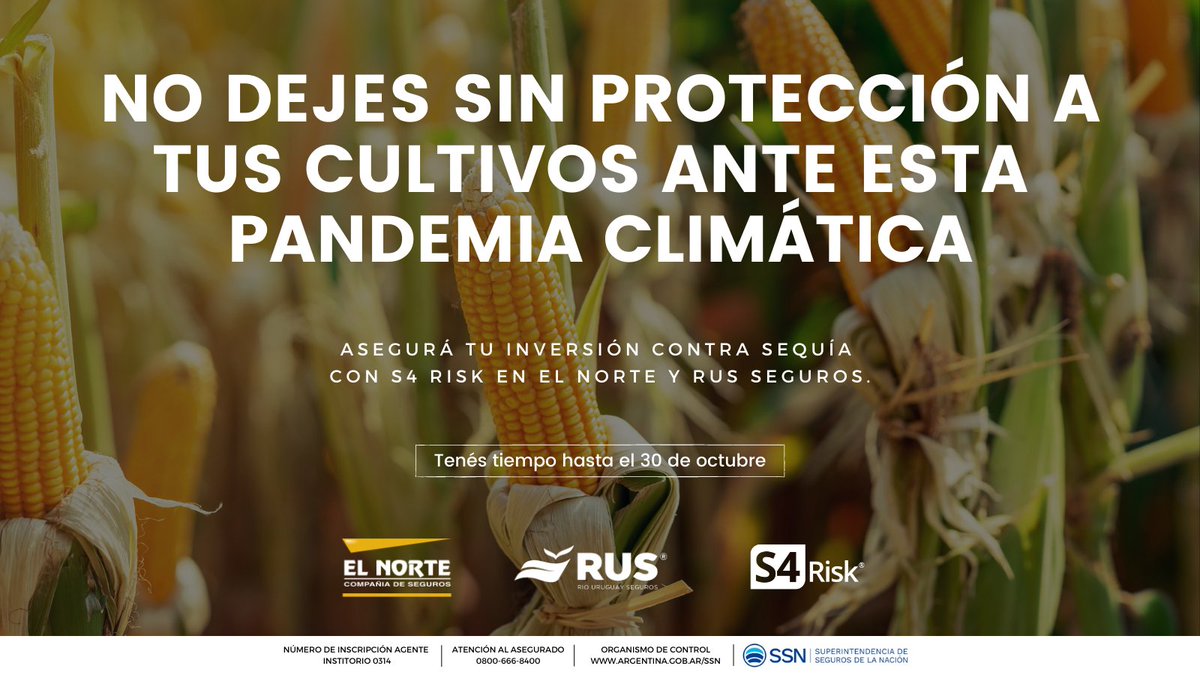 ¡Últimos días para asegurar tu inversión!
Somos la primera empresa de tecnología que ayuda a la #agroindustria a gestionar el #riesgoclimático.
Ofrecemos soluciones para proteger tu inversión basadas en #índicesclimáticos que correlacionan con tus rindes.

S4Risk.co