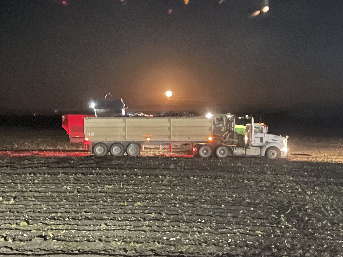 Matt Borgen tweet media