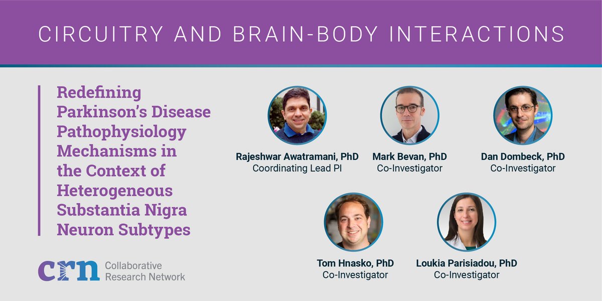 ASAP_Research's tweet image. Dopamine neuron loss in the substantia nigra is key in #PD. Team @AwatramaniRaj will create input-output maps of the dopamine neuron subtypes to ID subpopulations in the substantia nigra impacting motor circuitry in PD. #ASAPGrantees @lab_bevan @DanielDombeck @parisiadoulab1