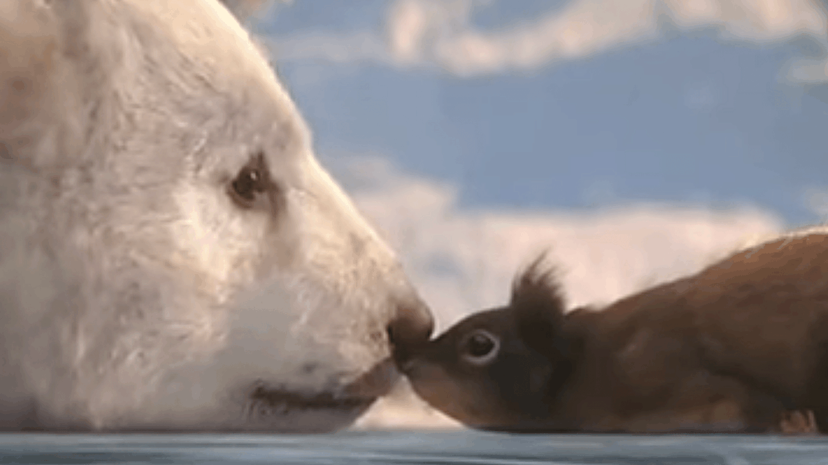 Judith_Harter's tweet photo. Wieder mal ein wunderschöner Animationsfilm ohne jegliche gesprochene Sprache :-)

Reinschauen

https://t.co/u6QhAATc7i https://t.co/MWrMytSJvR
