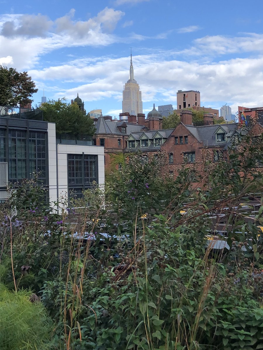 EllimanPM's tweet photo. Hope you came through the storm without any damage from wind or rain. These are the times we are most grateful for well-maintained roofs, facades and walkways. #highline #littleisland #empirestatebuilding #freedomtower #manhattan #chelsea #meatpackingdistrict #lowermanhattan https://t.co/dt91v4bHqj