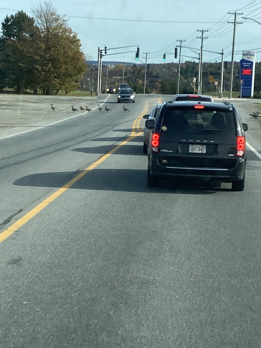 Only in Canada. 🇨🇦 Expect the Unexpected…🍁