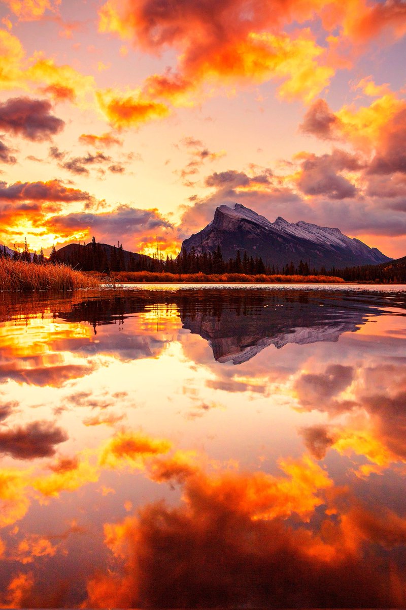 PickNTrip's tweet photo. Banff, AB, #Canada 🇨🇦🇨🇦🇨🇦🇨🇦🇨🇦

Travel with us! https://t.co/yLTbO2qImb 🌏✈☀️

#naturecolors #natureworld_photography https://t.co/ygifK8l8cL