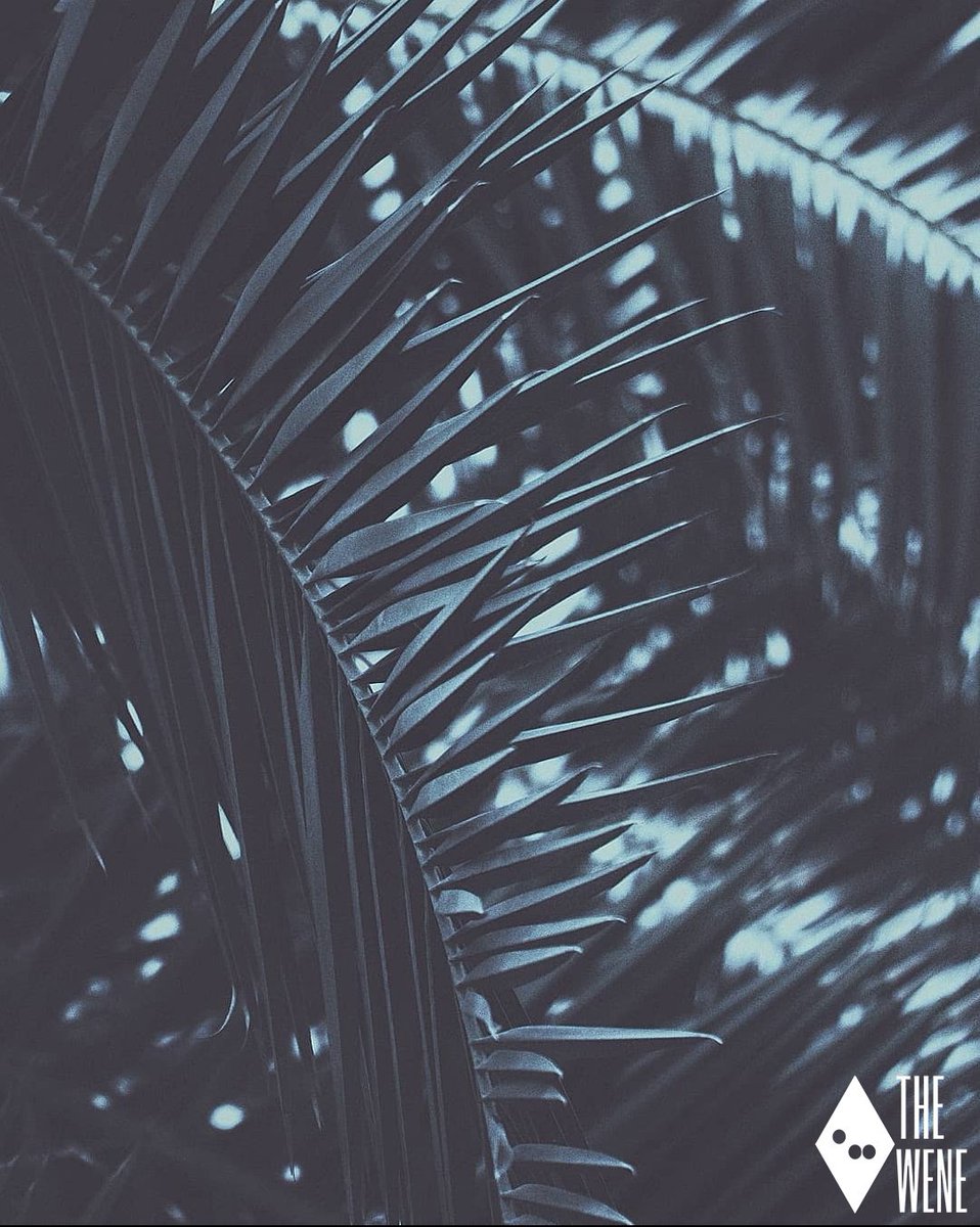 Check out our new collection! 🔥
"Feels like 1982" 🍃

Available on <a href="/opensea/">OpenSea</a>
Price from 0.035 $ETH

opensea.io/collection/fee…

#NFT #NFTCommunity #NFTArt #NFTCollectors #NFTArtist #Art #NFTfriends #NFTphotography