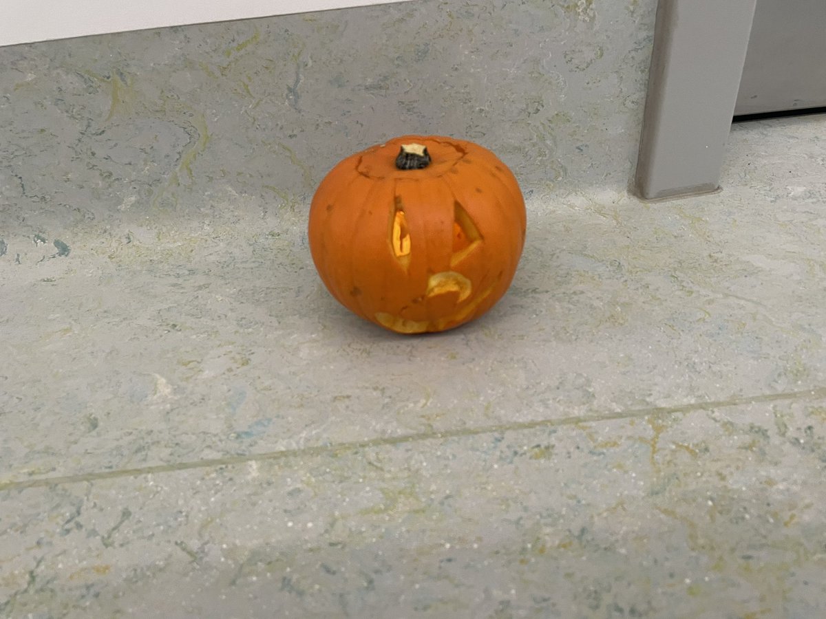 TMeredithPT's tweet photo. The results of our joint OT/Physio pumpkin carving group! A physical, sensory, social activity #IDTWorking #OTweek2021 #MakeRehabFun https://t.co/y6hyMfc2GC