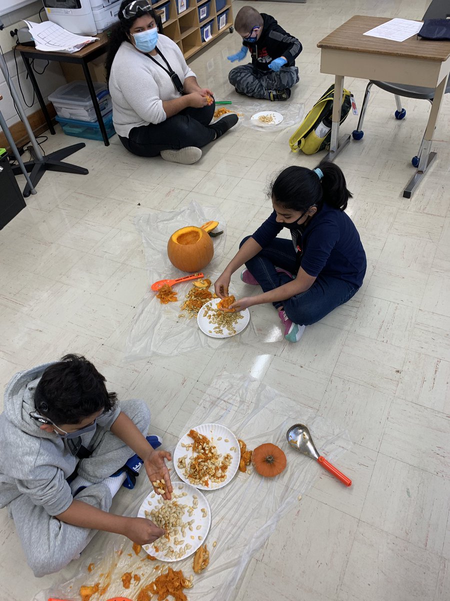 MsPiersolsclass's tweet photo. We are wondering how many seeds are inside our pumpkins! @HelenWilsonPS @ms_s_lee @RauschsRoom @mrsEberry2112 @PeelSchools https://t.co/hrxtbYFaVr