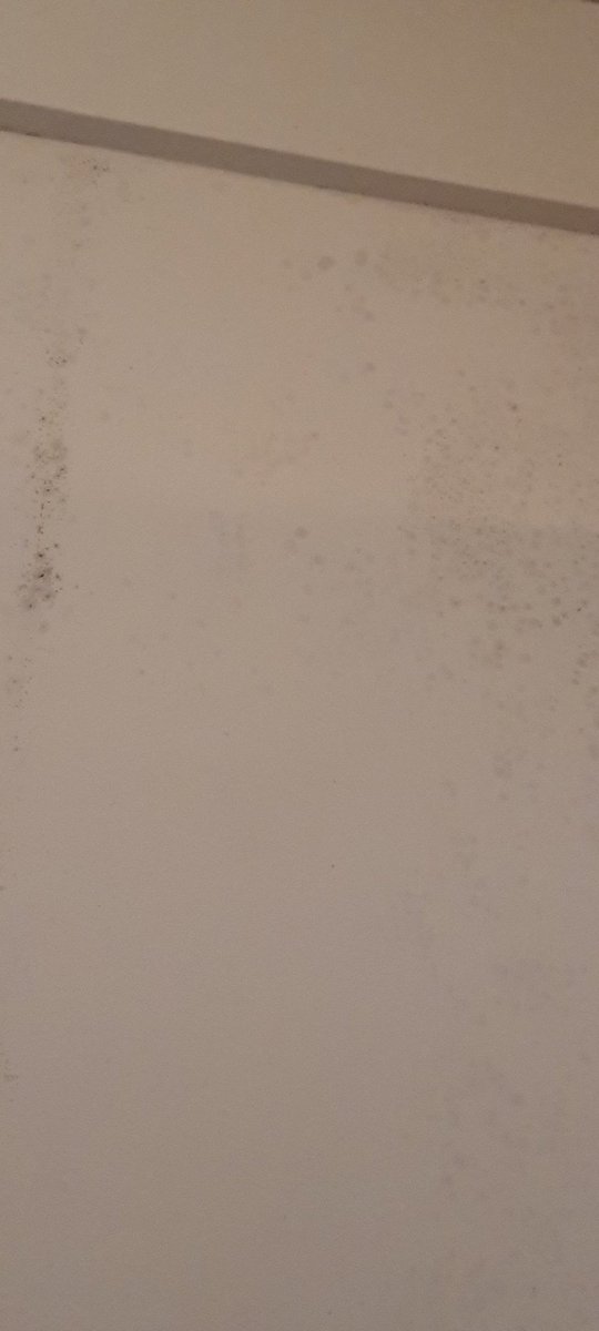 bindibhatia's tweet photo. @MarshallsWalls  terrible terrible customer service. Got wallpaper done in 2 rooms last December. Full of patches since August. Been complaining since 4 months, but nothing has been done. https://t.co/vZKTWiRWpa