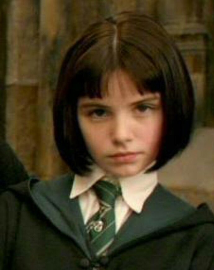 ตระกูลพาร์กินสัน ( Parkinson )
ตระกูลเลือดบริสุทธิ์ และสมาชิกส่วนใหญ่อยู่บ้านสลิธีริน

แพนซี่ พาร์กินสัน นักเรียนบ้านสลิธีริน สมาชิกแก๊งค์เดรโก มัลฟอย. เธอไม่ได้เข้าร่วมสงครามฮอกวอตส์ และก็ไม่ได้เข้าร่วมฝ่ายโวลเดอมอร์