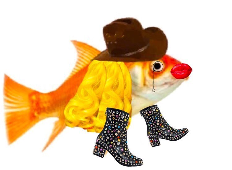 3basicbitches1's tweet image. This is my pet fish please contact me if you find him, he’s been missing for a while and I really miss him. He likes long walks on the beach and peoples throats. #butinblue