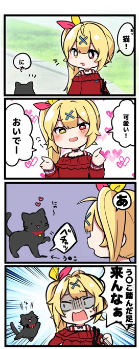 🌟と🐱 