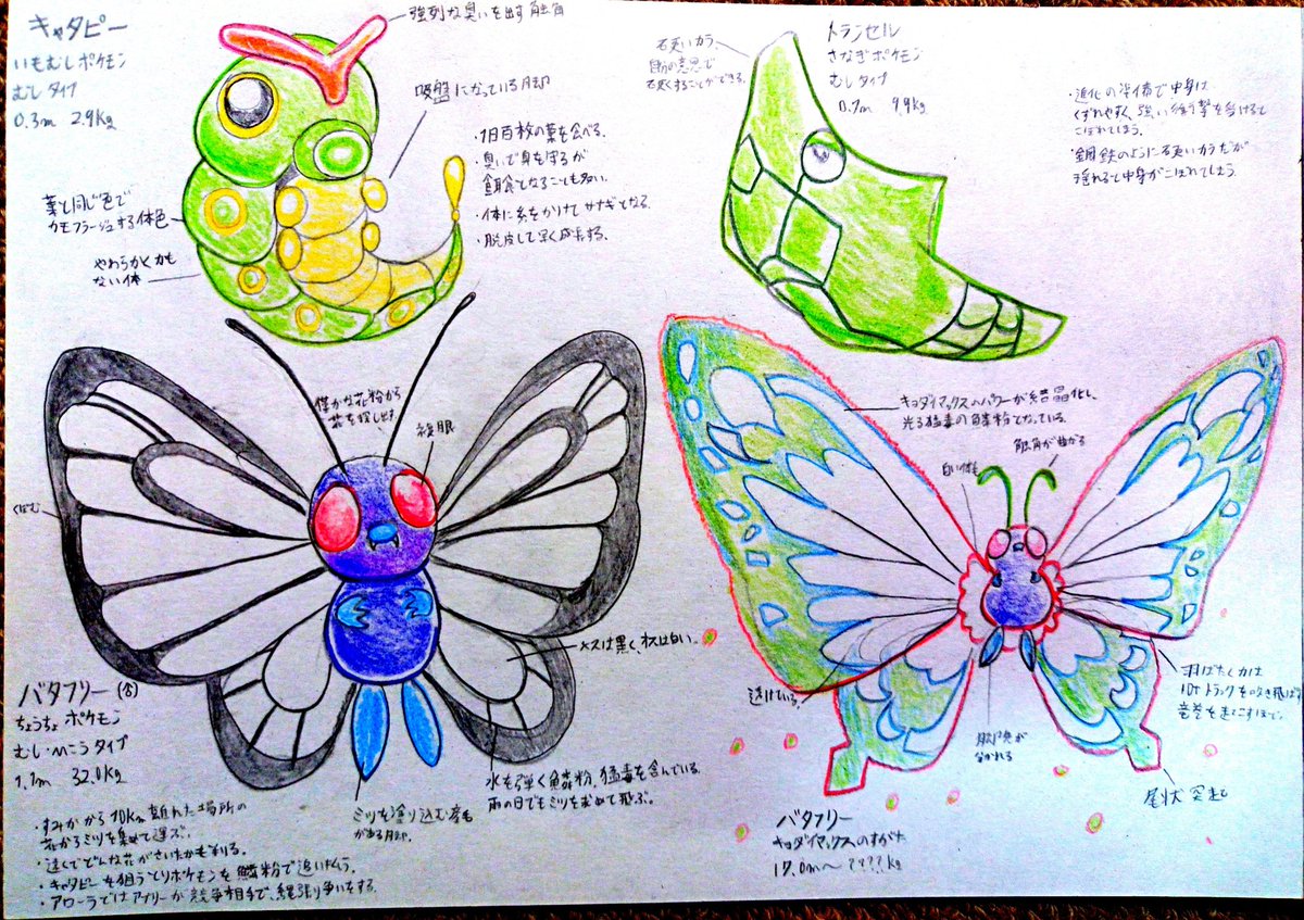 【むしポケモン考察図録】
No.10 キャタピー Caterpie
No.11 トランセル Metapod
No.12 バタフリー Butterfree 