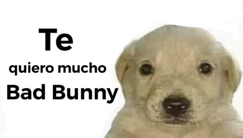 BadbunnyStan_'s tweet photo. @sanbenito Bueno <3 https://t.co/t7oQE4PU52