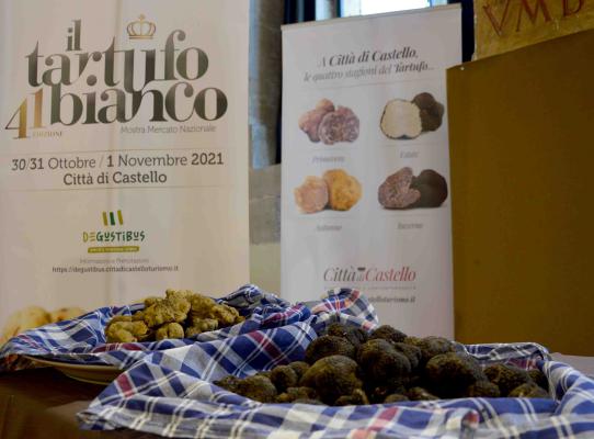 Re Tartufo Bianco in mostra a Città di Castello
umbrialeft.it/notizie/re-tar…