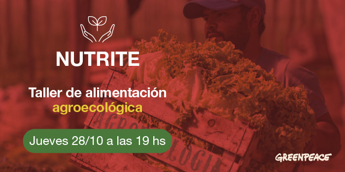 GreenpeaceArg's tweet photo. ✨ HOY HOY HOY ✨ Disfrutá #Nutrite, un taller súper completo sobre alimentación agroecológica. 
📅 Jueves 28 de octubre 
⏰ 19 hs 
📲 En vivo por YouTube: https://t.co/d4m1mcwsbi https://t.co/GHp8aghoG0
